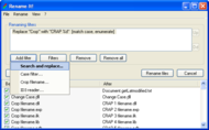 Rename-It! screenshot